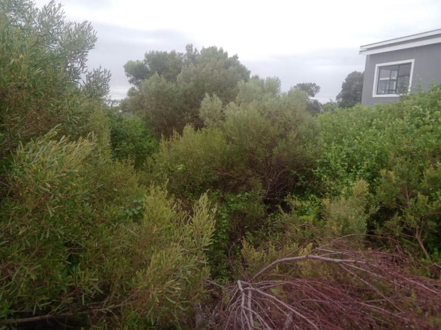 Commercial Property for Sale in Paradise Beach Eastern Cape